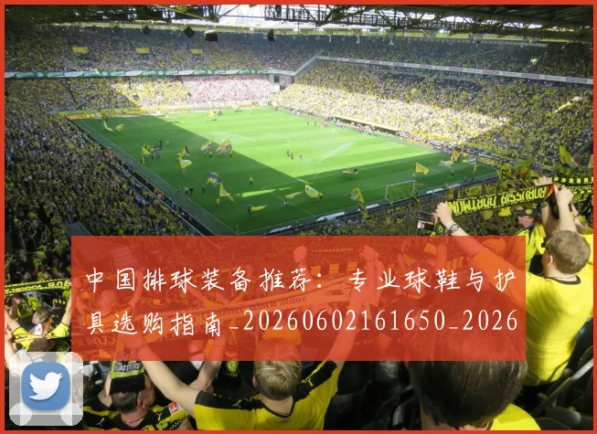 中国排球装备推荐：专业球鞋与护具选购指南_20260602161650_20260704163742